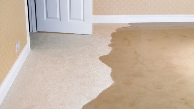 assess-the-flood-damage