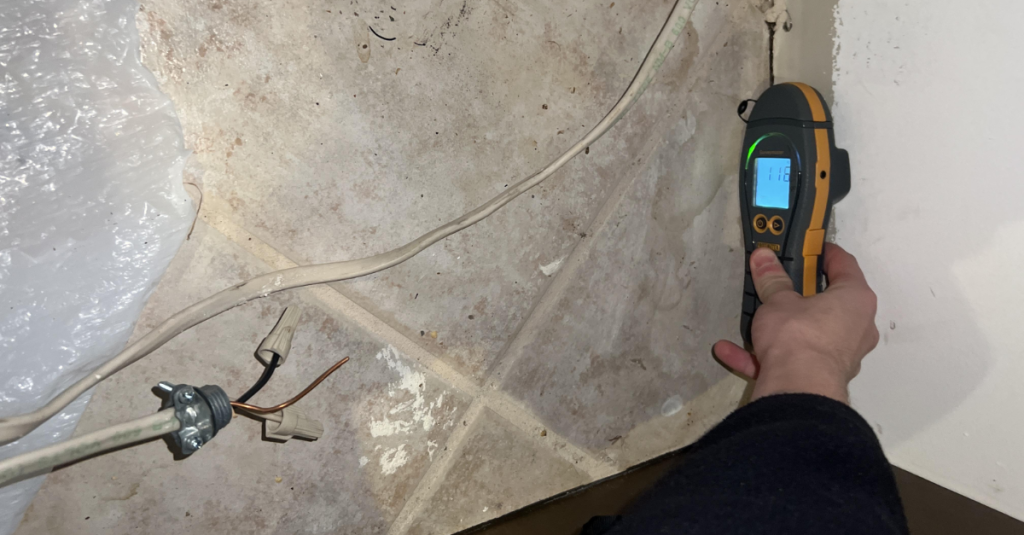 Visual Mold Assessment
