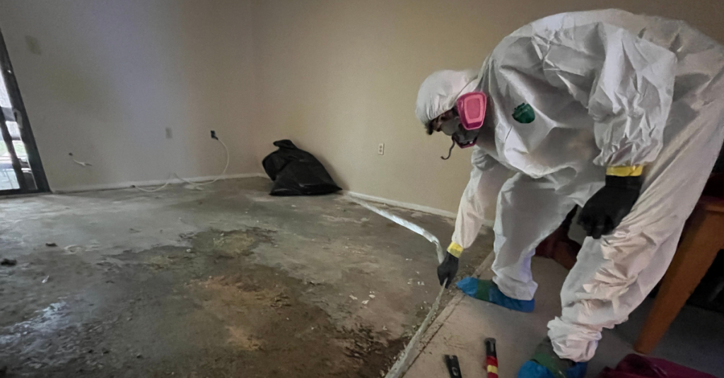 Mold Abatement