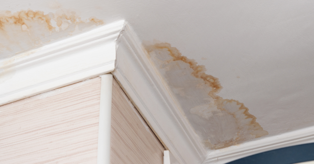 Ceiling Water Damage