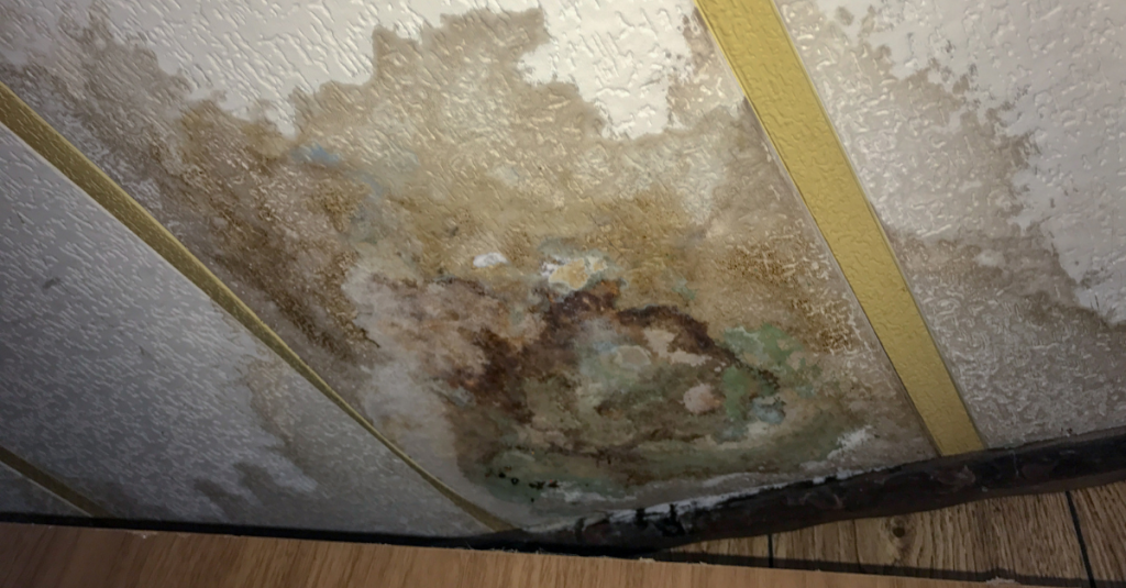 Ceiling Water Damage