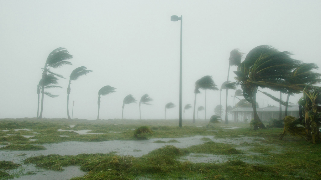 Storm Damage Restoration