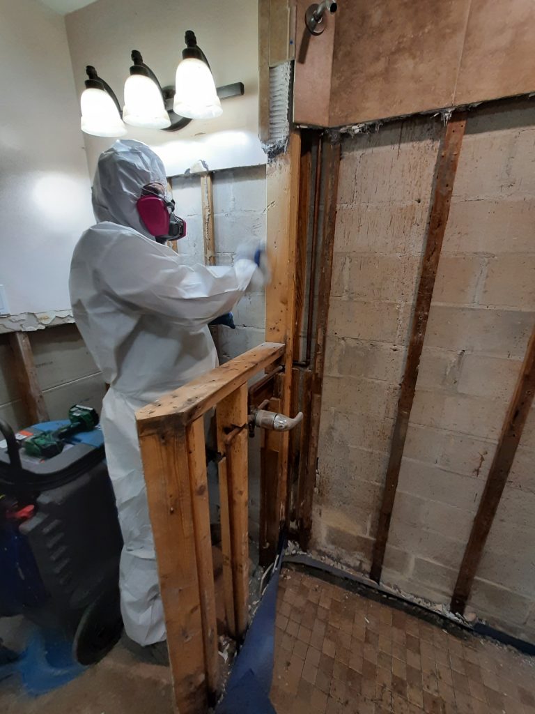 toxic-mold-release-mycotoxins-being-removed-by-uwrg-lakeland