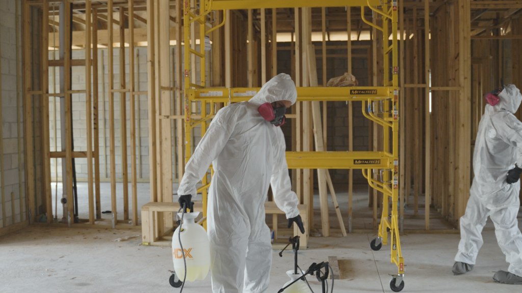 cost-mold-remediation-lakeland-florida